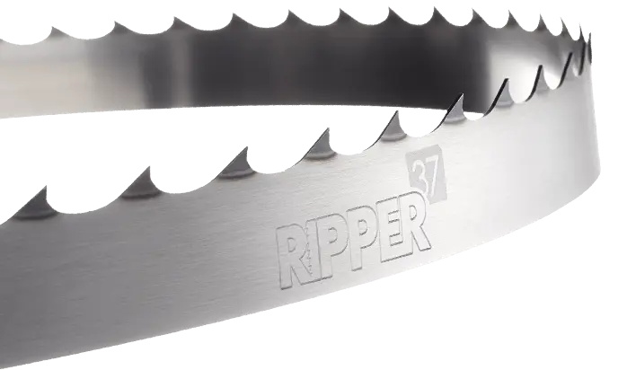 Excision Bandsaw Blade 20mm x 2 TPI RIPPER37